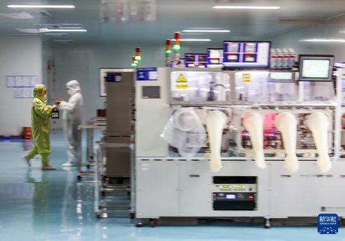 山東日照 向新求變，電子科技企業實現新發展
